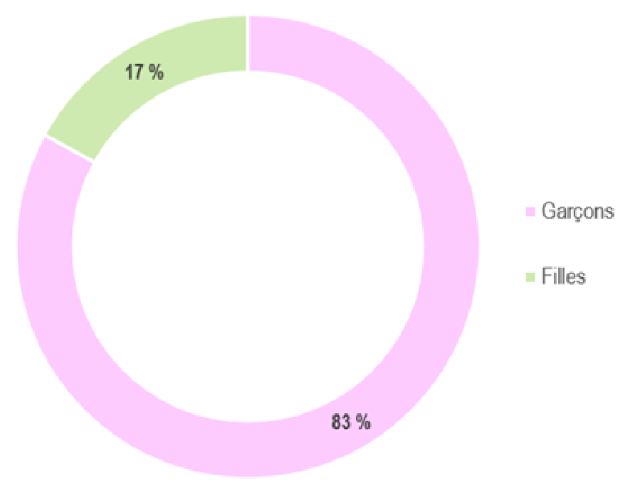 repartition-genre La répartition des genres de l'ITEP Angela Davis