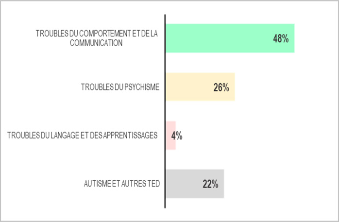 Les chiffres des handicaps du dispositif Hannah Arendt