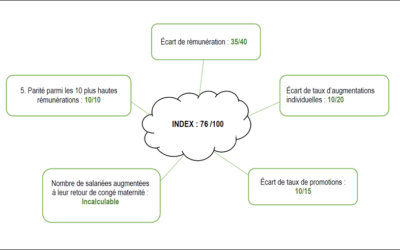 Index égalité femmes-hommes